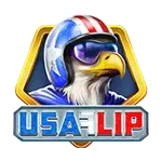USA Flip game screenshot